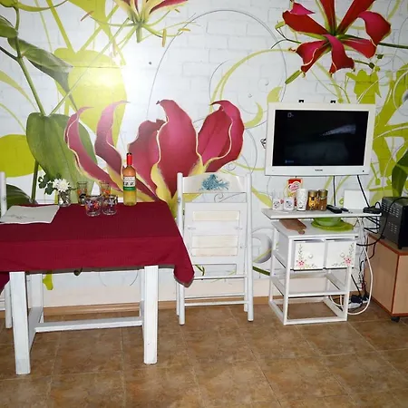 Studio Radost *